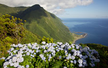 Faja do Santa Cristo Sao Jorge